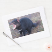 タスマニアデビル – シール (封筒)