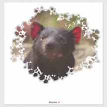 タスマニアデビル