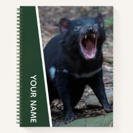 タスマニアデビル, タスマニア, オーストラリア, 緑 ノートブック