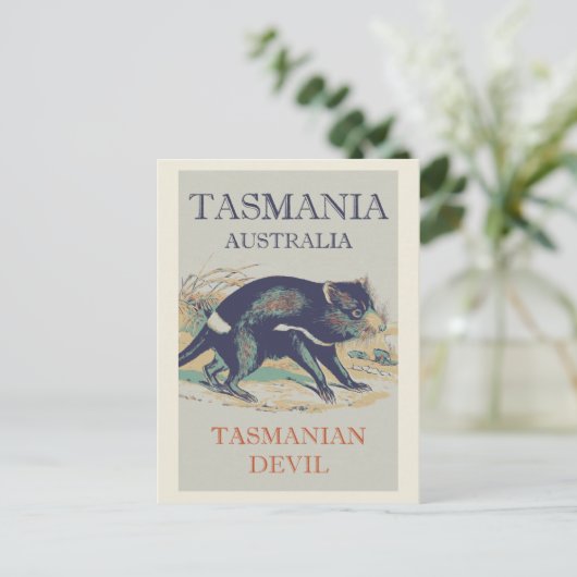 タスマニアデビル、象徴的な動物タスマニアオーストラリア ポストカード (スタンド正面)