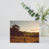 タスマニアンサマーサンセット ポストカード (スタンド正面)