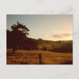 タスマニアンサマーサンセット ポストカード