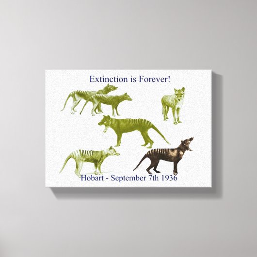 タスマニアンタイガーフタシネキャンバスプリント キャンバスプリント (正面)