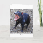 タスマニアンデビルのハッピーバースデーのユーモア カード (裏面)