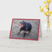 タスマニアンデビルのハッピーバースデーの挨拶状 カード (黄色い花)