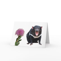  タスマニアン・デビル・アンド・ボトルブラシ   