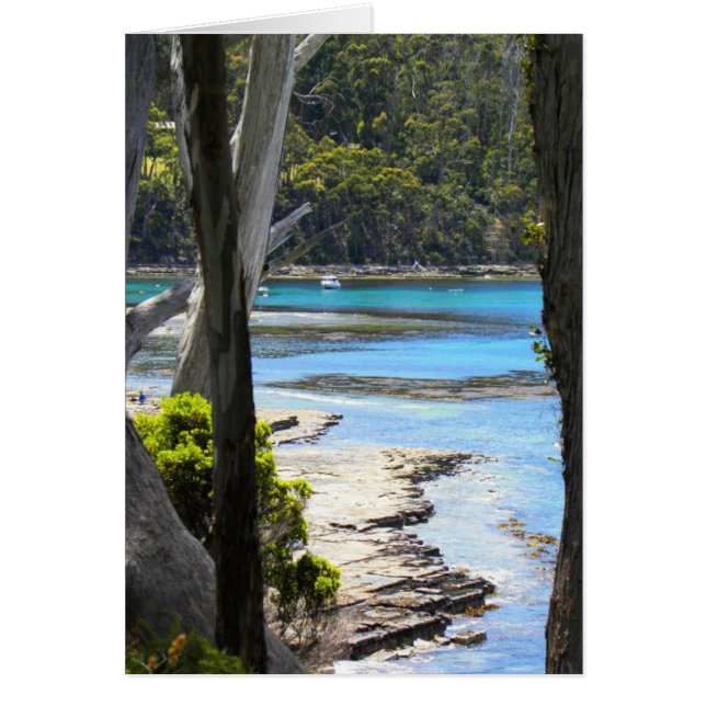 タスマニア海岸 (正面)