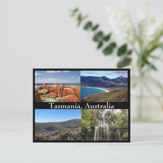 タスマニア，オーストラリアのはがき ポストカード (スタンド正面)