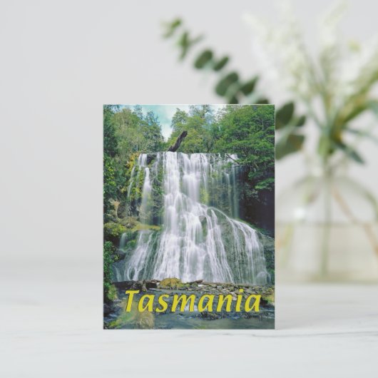 タスマニア ポストカード (スタンド正面)