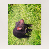 タスマン風の悪魔 ジグソーパズル (縦)