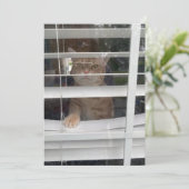 タズ猫が主役の「どこにママ」 5 x 7 フラットカード シーズンカード (スタンド正面)