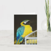 タズ.... カード (正面)