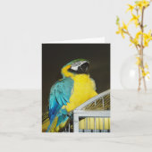 タズ.... カード (黄色い花)