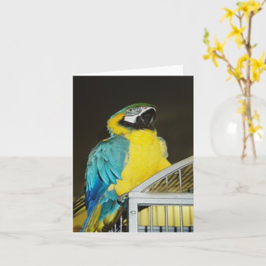 タズ.... カード (黄色い花)