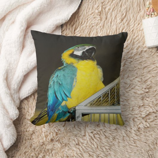 タズ.... クッション (ブランケット)