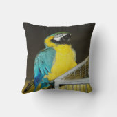 タズ.... クッション (裏面)