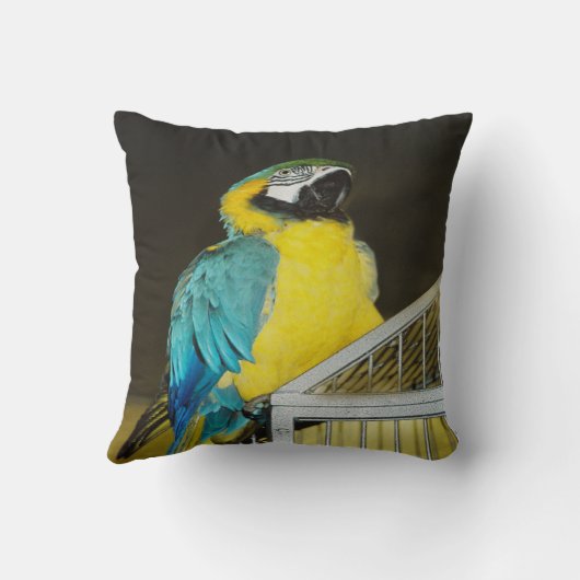 タズ.... クッション (裏面)