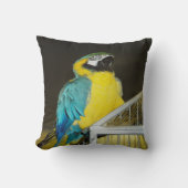 タズ.... クッション (正面)