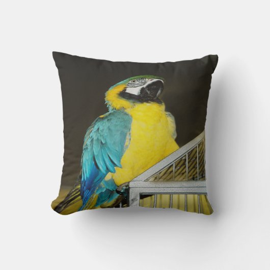 タズ.... クッション (正面)