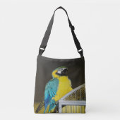 タズ.... クロスボディバッグ (正面)