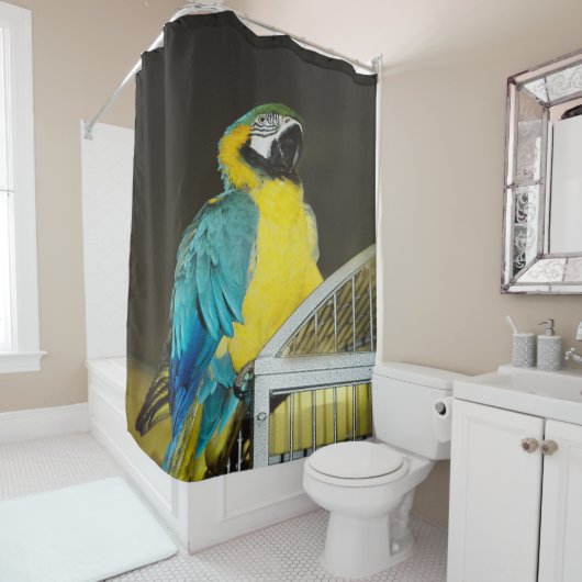 タズ.... シャワーカーテン (インサイチュ)