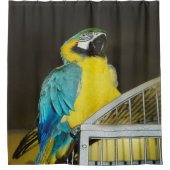 タズ.... シャワーカーテン (正面)