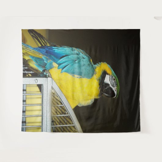 タズ.... タペストリー (正面(横))