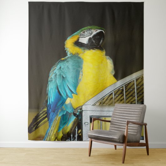 タズ.... タペストリー (インサイチュ)