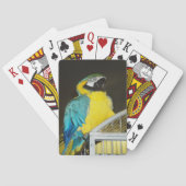 タズ.... トランプ (裏面)