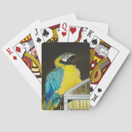 タズ.... トランプ