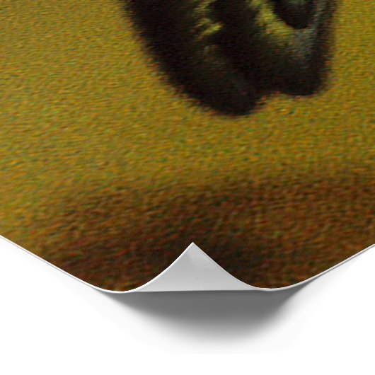 タズ.... ポスター (角)