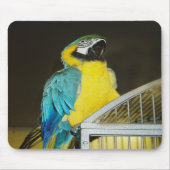 タズ.... マウスパッド (正面)