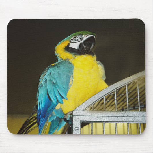 タズ.... マウスパッド (正面)