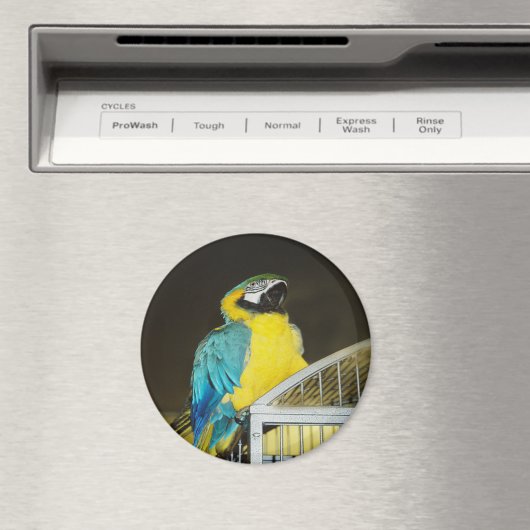 タズ.... マグネット (インサイチュ (食洗機))