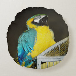 タズ.... ラウンドクッション