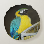 タズ.... ラウンドクッション (裏面)