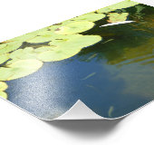 タダポール フォトプリント            (角)