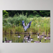 タダ！ ポスター (正面)