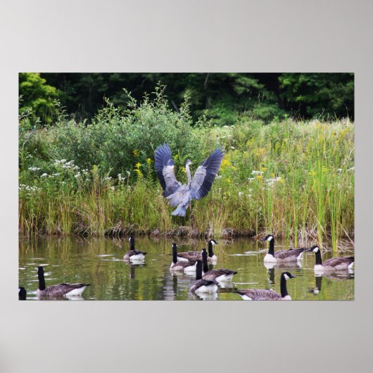 タダ！ ポスター (正面)