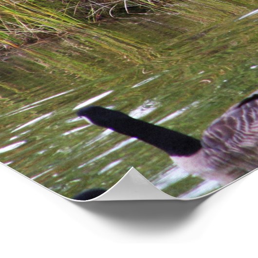 タダ！ ポスター (角)