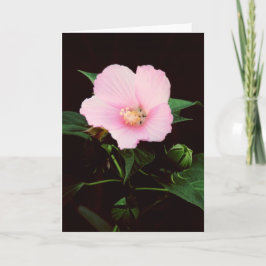 タチアオイのブランクの挨拶状 カード