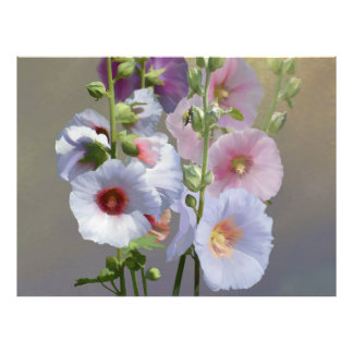 タチアオイの花束 フォトプリント