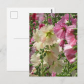 タチアオイ：日本 ポストカード (正面/裏面)