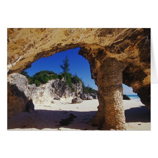 タッカリブのカーズタウン、バミューダ。ナチュラル (正面横)