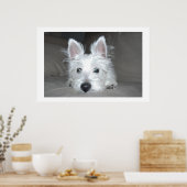 タッカー ポスター (キッチン)