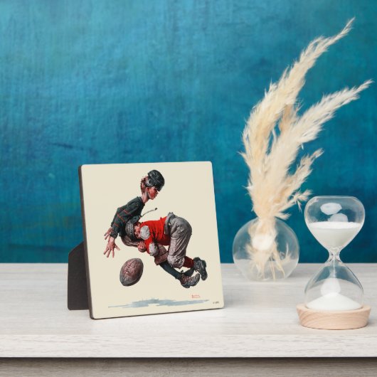 タックル フォトプラーク (インサイチュ)