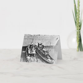 タッグスアシストカロニア カード