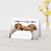 タッグ・オ・ウォー カード (黄色い花)