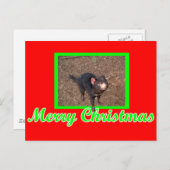 タッシー・デビル ポストカード (正面/裏面)