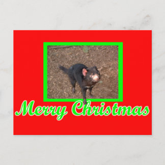 タッシー・デビル ポストカード